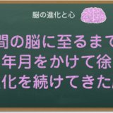 進化を続けてきた脳