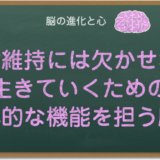 生命維持に欠かせない脳幹