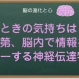 情報をリレーする神経伝達物質