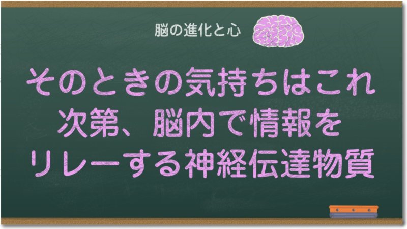 そのときの気持ちはこれ次第、脳内で情報をリレーする神経伝達物質