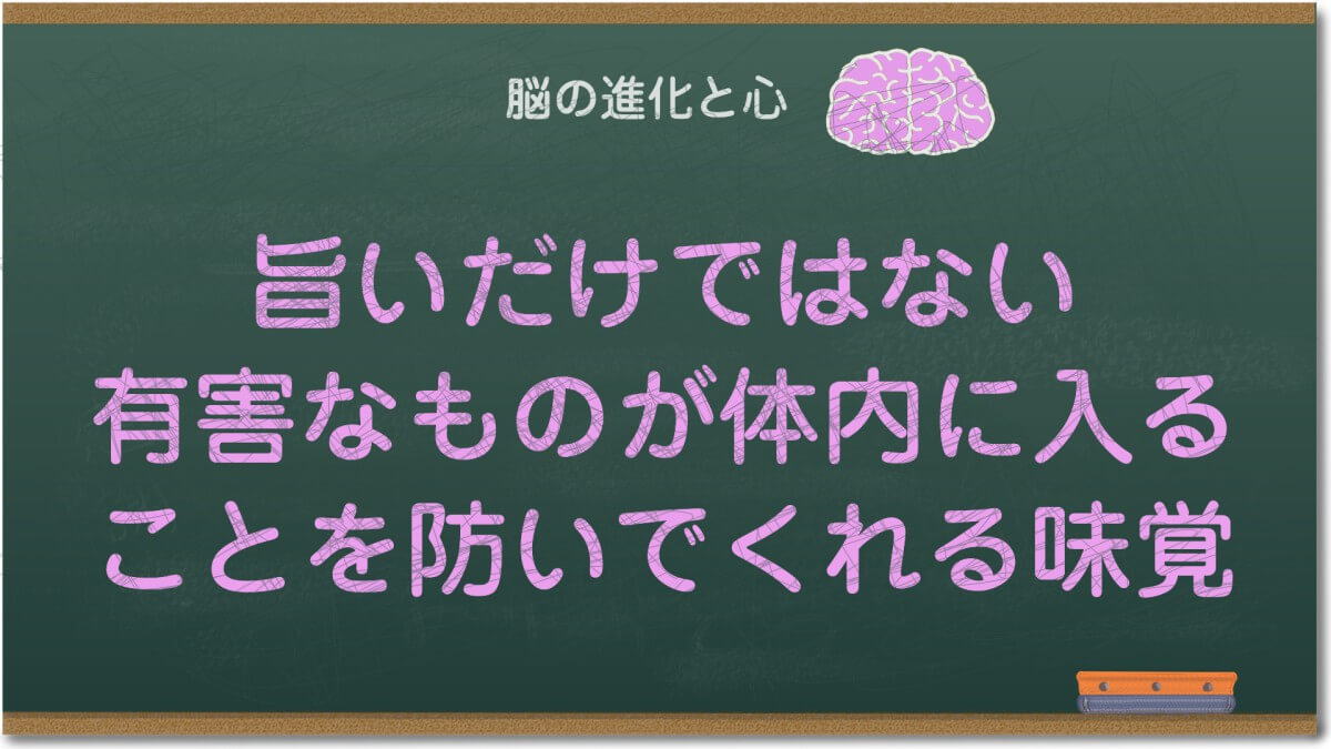 旨いだけではない、有害なものが体内に入ることを防いでくれる味覚