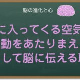 音が脳に伝わる仕組み