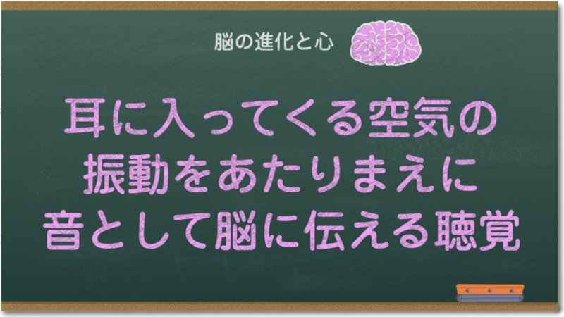 耳に入ってくる空気の振動を、あたりまえに音として脳に伝える聴覚