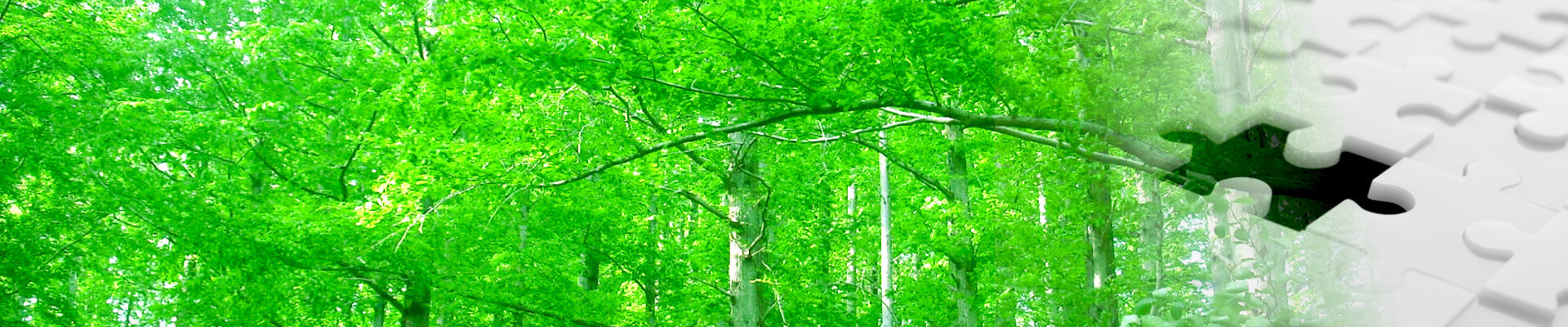 Welcome to こころゆる～む